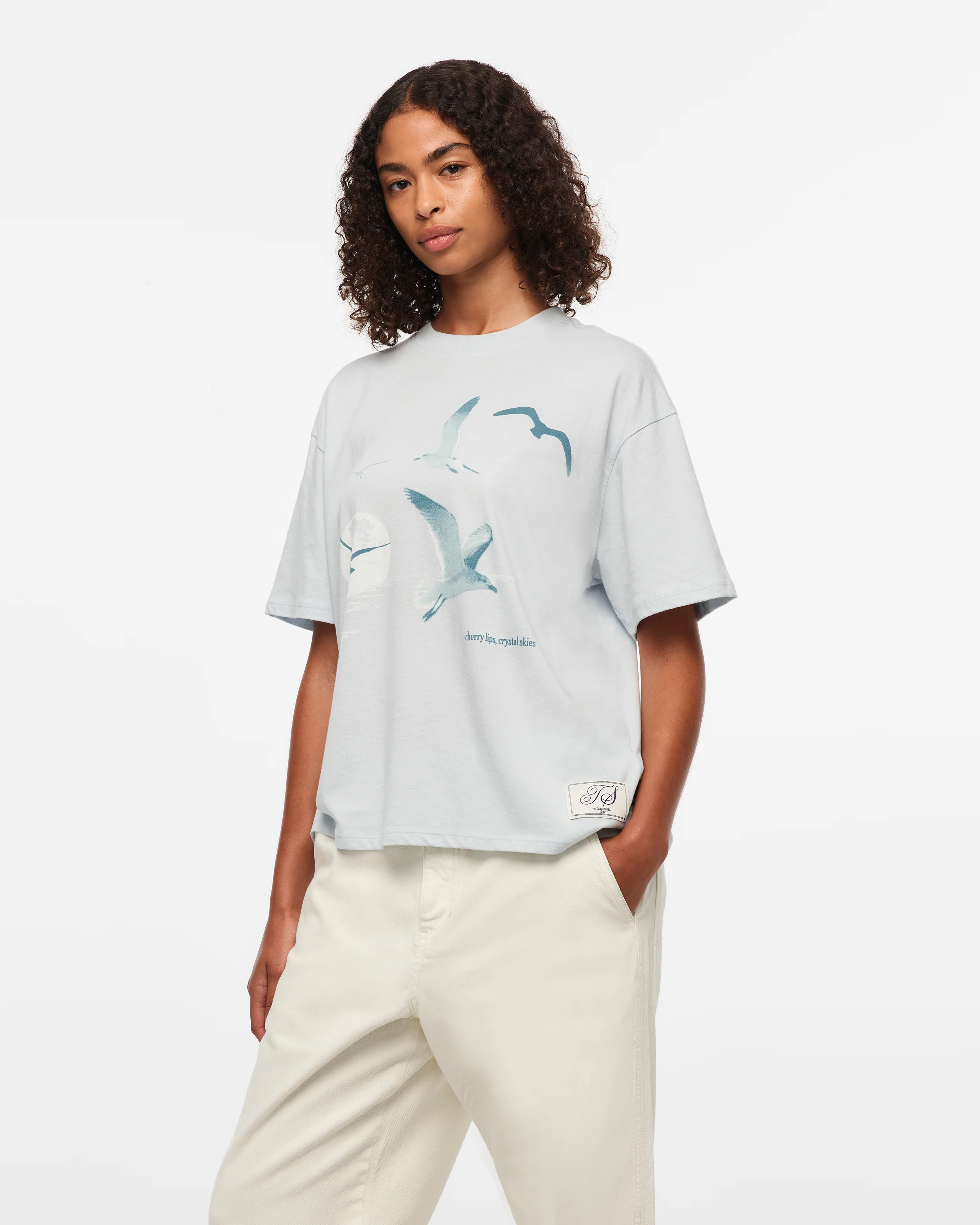 1989 (Taylor’s Version) Seagull Boxy T-Shirt - Image 7